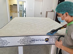 Upholstery Cleaning